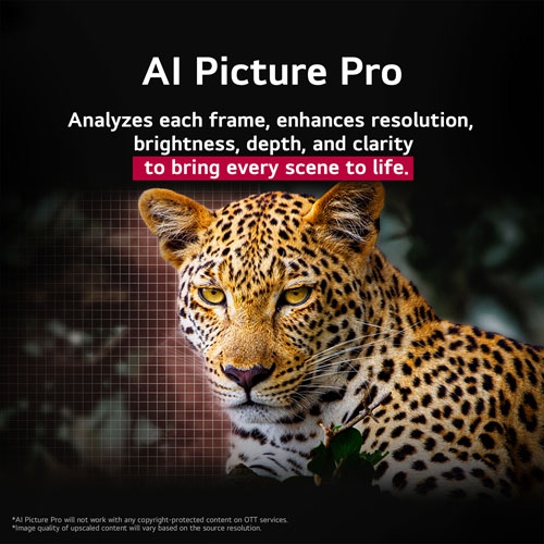 LG 42" C5 4K UHD HDR OLED Smart TV - 2025 OPEN BOX 10/10