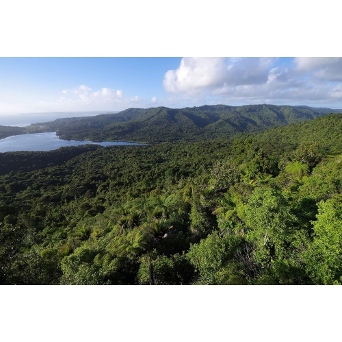 Pentax – K-1 Mark II avec écran TFT LCD de 3,2 po et 36.4 Mpx, noir - Boîte ouverte