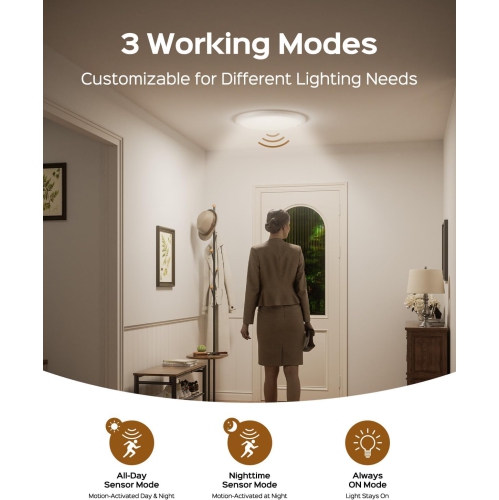 Rechargeable Motion Sensor Ceiling Light With Remote Control,Smart Closet Light,Magnetic LED Shower Lights,Ceiling Lamp for Bathroom Pantry Shed