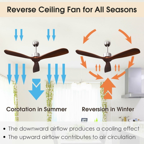 Modern Brushed Nickel Ceiling Fan with Remote Control for Living Room