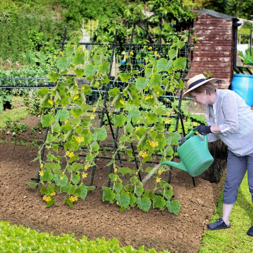 Heavy-Duty Garden Trellis with PE-Coated Frame – Ideal for Cucumbers & Vines