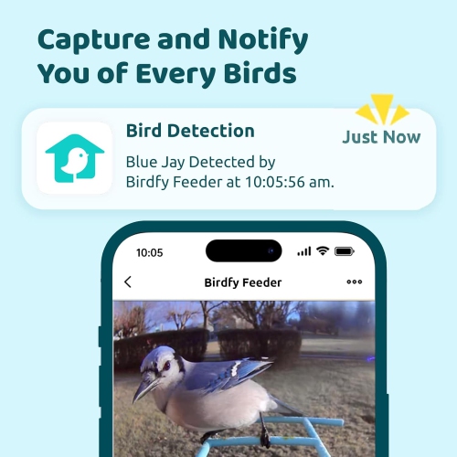 Birdfy Smart Feeder with Camera - Yellow