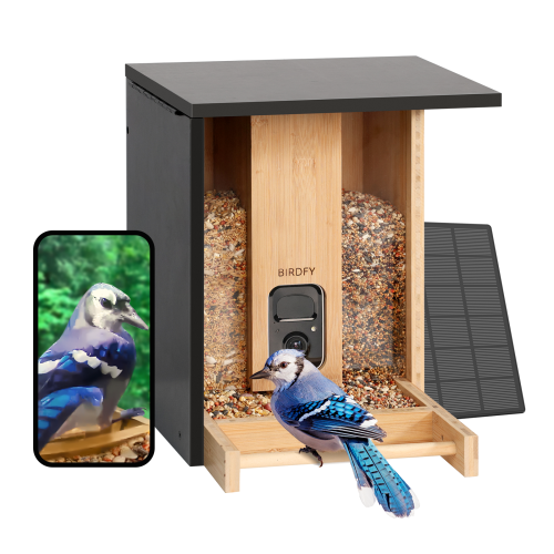 BIRDFY  Smart Feeder With Camera Solar Powered - Ai Lifetime Free Bamboo I absolutely love my smart bird feeder