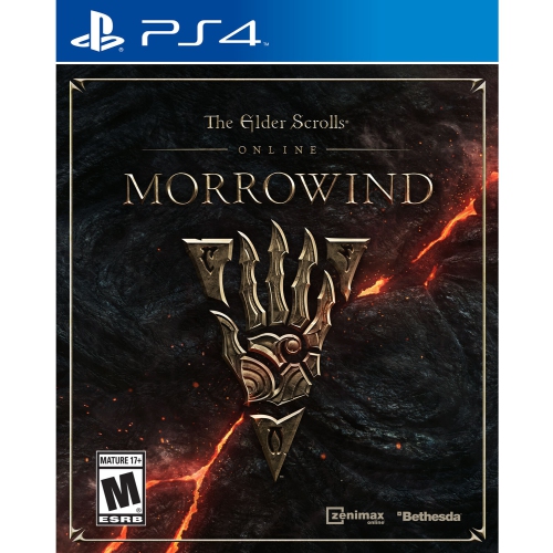 PS4 Elder Scrolls Morrow [VIDEOGAMES]
