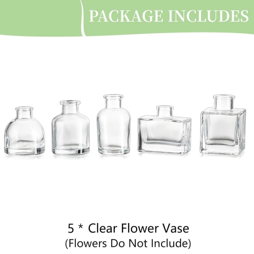 NIERBO Mini Clear Vases for Centerpieces Cute Flower Vase Set of 5 Tiny Vases for Flowers Decorative Centerpiece Vases for Table Decor Wedding Party