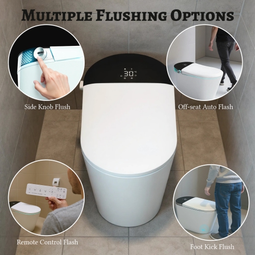 SERA BATHROOM Wynter Smart Bidet Toilet, One-Piece Toilet with Auto Jet Flush, Auto Open/Close Lid, Warm Water Wash, Warm-Air Dryer, Heated Seat,