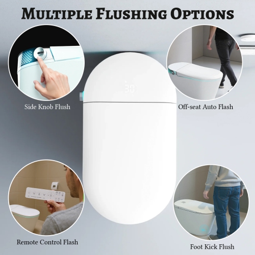 SERA BATHROOM Wynter Smart Bidet Toilet, One-Piece Toilet with Auto Jet Flush, Auto Open/Close Lid, Warm Water Wash, Warm-Air Dryer, Heated Seat,