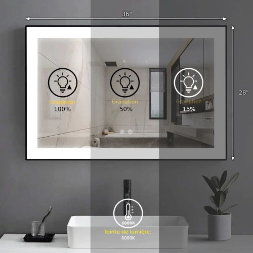 Miroir de SALLE DE BAIN DE 36&nbsp;po LED M-36 à bord givré – Cadre noir