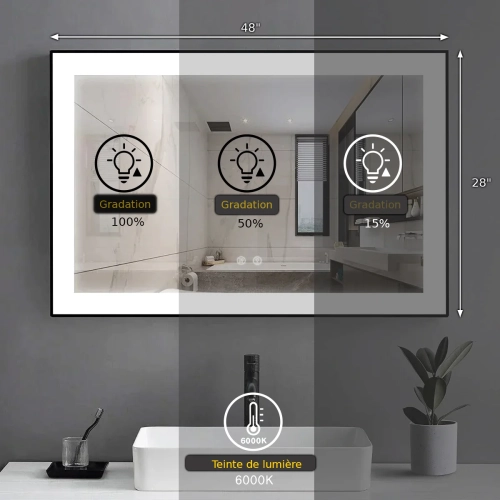 Miroir de SALLE DE BAIN DE 48&nbsp;po LED M-36 à bord givré – Cadre noir