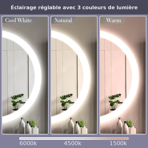 Miroir de SALLE DE BAIN DE 32 po LED LUNE givrée FS-2015-3232 - Argenté