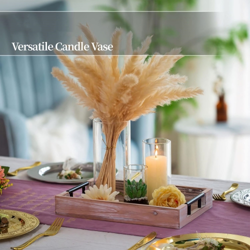 NIERBO Glass Cylinder Vases Set of 12, Hurricane Candle Holder Clear, Glass Cylinder Vase, Glass Vases for Centerpieces for Home Decor Wedding