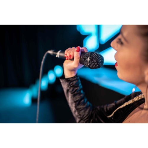 beyerdynamic TG-V70DS Professional Dynamic Hypercardioid Microphone for Vocals, with Lockable On/Off Switch