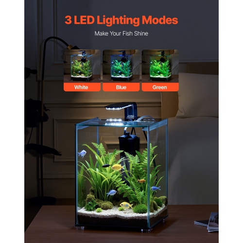 Aquarium VEVOR de 5 gallons pour aquarium, réservoir de démarrage intelligent carré en verre ultra-transparent à éclairage réglable à 3 couleurs,