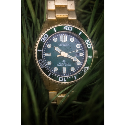 Montre homme à Eco-Drive Promaster Dive de Citizen, 41&nbsp;mm boîtier et bracelet en inox doré, cadran vert