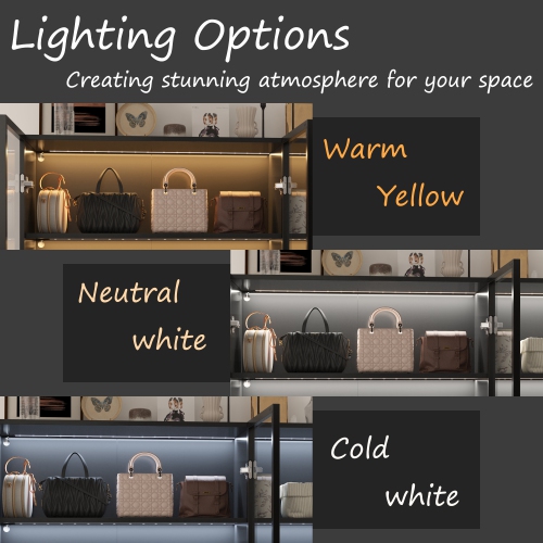 Famapy Contemporary Black Steel Walk-In Closet with Adjustable Shelves – Multi-Layer Design, Glass Doors, USB Lighting & Stylish Storage, Black