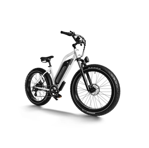 Vélo électrique à cadre bas D3 de Himiway | Moteur à moyeu sans balais 750&nbsp;W | Batterie 15&nbsp;Ah de 48&nbsp;V | Gros pneus de 26 x 4,0&nbsp;po