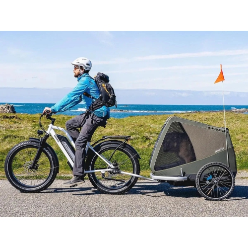 Vélo électrique à cadre bas D3 de Himiway | Moteur à moyeu sans balais 750&nbsp;W | Batterie 15&nbsp;Ah de 48&nbsp;V | Gros pneus de 26 x 4,0&nbsp;po