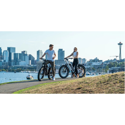 Vélo électrique à cadre bas D3 de Himiway | Moteur à moyeu sans balais 750&nbsp;W | Batterie 15&nbsp;Ah de 48&nbsp;V | Gros pneus de 26 x 4,0&nbsp;po