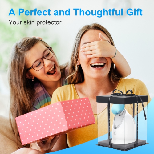 EZBASICS Facial Steamer Ionic Face Steamer for Home Facial, Warm Mist Humidifier Atomizer for Face, 1 Pack + 5 Stainless Steel Skin Kit, Blue