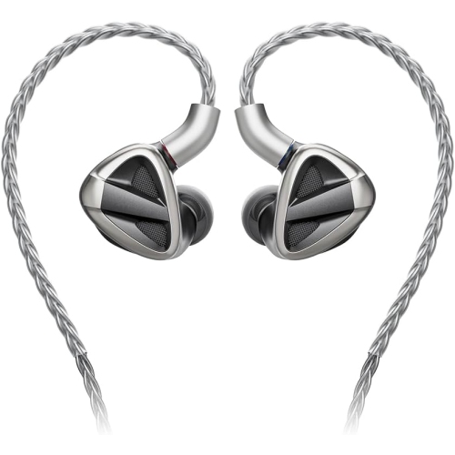 FiiO FH19 HiFi Earphone 2 Dynamic 6 Balanced Armature Drivers IEMs