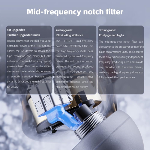 FiiO FH19 HiFi Earphone 2 Dynamic 6 Balanced Armature Drivers IEMs