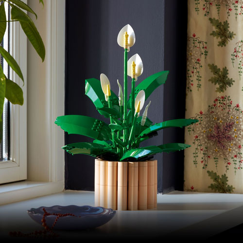 LEGO Botanicals : La fleur de lune - 474 pièces (11504)