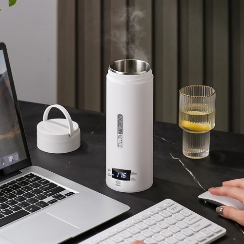 Bouilloire électrique portative de voyage, petite bouilloire à café, chauffe-eau avec arrêt automatique et protection pour faire bouillir