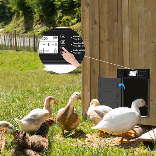Automatic Chicken Coop Door Solar Powered Cold Weather Battery Electric Chicken Door Large Size Aluminum Door with 4 Modes Opening Mode
