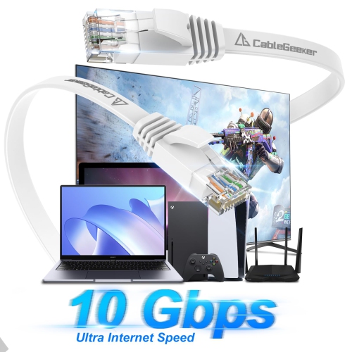 Cat 6 Ethernet Cable 100ft - High Speed 10Gbps, Indoor&Outdoor, Slim Flat Design, Supports Cat7 Network - for Router, Modem, PS4/5, Xbox