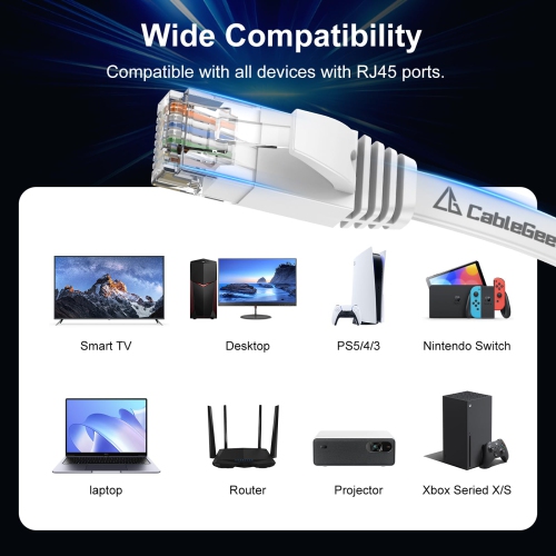 Cat 6 Ethernet Cable 100ft - High Speed 10Gbps, Indoor&Outdoor, Slim Flat Design, Supports Cat7 Network - for Router, Modem, PS4/5, Xbox