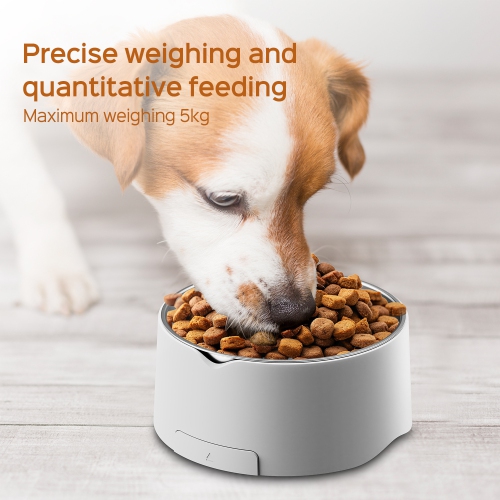 Food scale smart pet weight scale dog pocket scale cat food dog food weighing electronic scale small scale