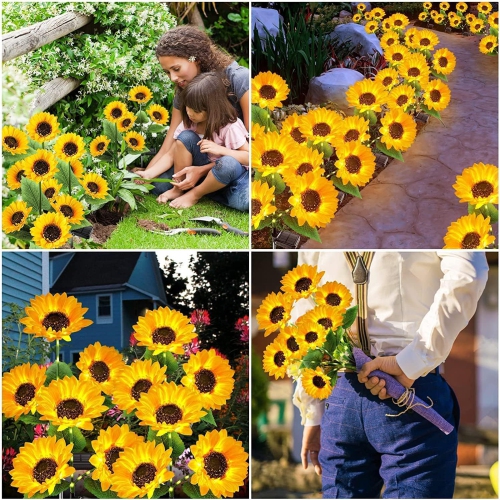 Solar Lights Outdoor, Upgraded Waterproof Outdoor Solar Lights with 9 Bigger & Brighter Sunflowers, Solar Powered Garden Lights Outdoor Solar Lights