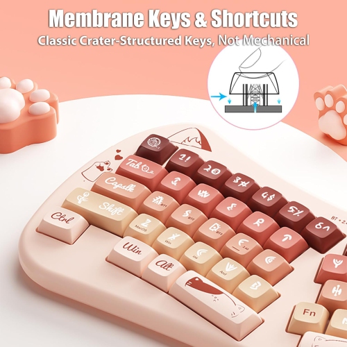 Bow-shaped ergonomic keyboard, cute cat Alice keyboard, dual-mode wireless 2.4G Bluetooth 5.0, rechargeable, compact, 68-key multi-device