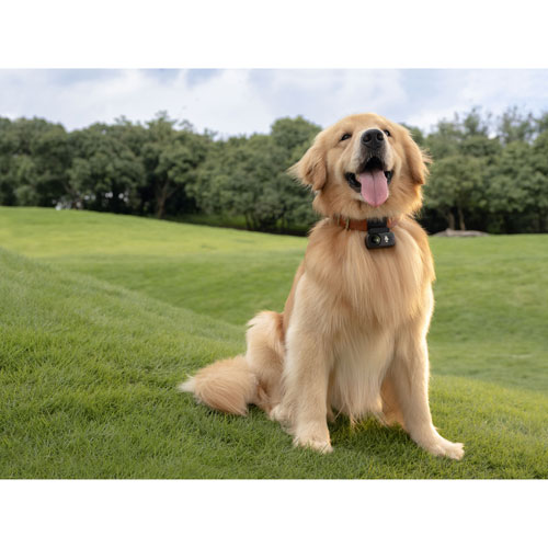 DJI Osmo Nano 128GB Waterproof 4K Action Camera