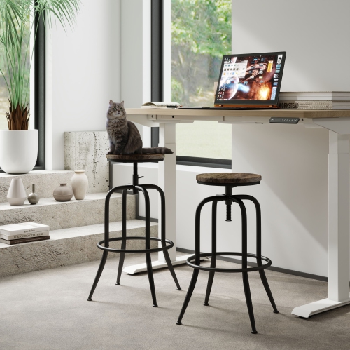 Homy Casa Set of 2 Lab High Bar Stools with Ergonomic Support and Adjustable Height for Laboratory Workstations, Research Benches and Science Labs