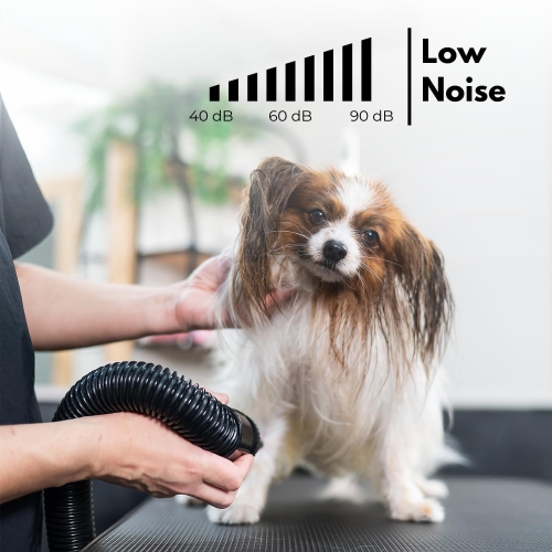 2800W Dog Hair Dryer - Adjustable Speed & Temperature Dog & Cat Dryer, Quiet Blower with Cool & Hot Air, Lightweight & Portable, Ideal for Home and