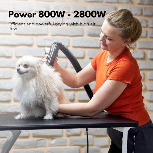 2800W Dog Hair Dryer - Adjustable Speed & Temperature Dog & Cat Dryer, Quiet Blower with Cool & Hot Air, Lightweight & Portable, Ideal for Home and