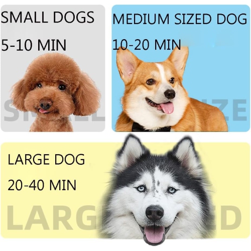 Sèche-cheveux soufflant et aspirant, sèche-cheveux pour animaux à grand volume d'air, souffleur d'eau haute puissance avec aspirateur, adapté pour