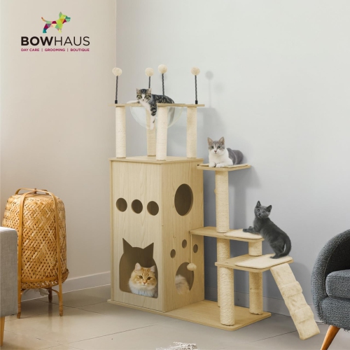 CAPHAUS 53-Inch Multi-Level Cat Tree