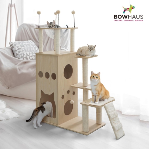 CAPHAUS 53-Inch Multi-Level Cat Tree