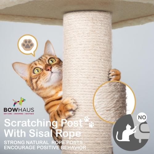 CAPHAUS 53-Inch Multi-Level Cat Tree