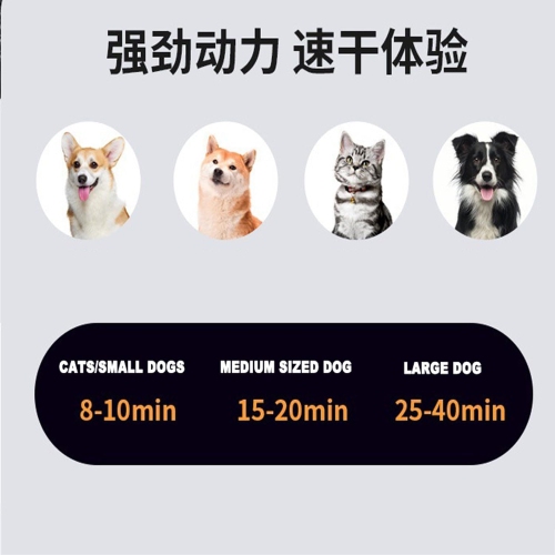 Multi-Purpose Dog Grooming Kit, Pet Hair Vacuum, Low Noise Pet Hair Vacuum, with 1.4L Dust Box and Removable Attachments, for Dogs