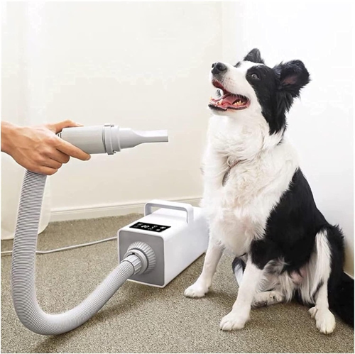 Sèche-cheveux pour animaux Sèche-animaux Ntelligent Séchage rapide pour chiens Grossissement pour chats Petit sèche-cheveux 2200&nbsp;W au vent chaud