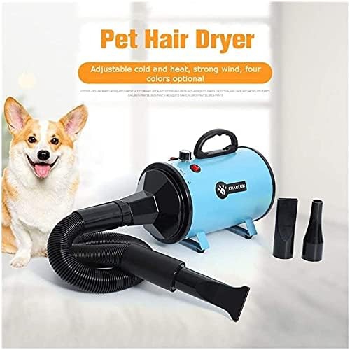 2000W Power Hair Dryer for Dogs Pet Dog Cat Grooming Blower Warm Wind Secador Fast Blow-Dryer for Small Medium Large Dog Dryer Blue