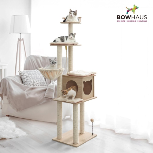 CAPHAUS 64-Inch Multi-Level Cat Tree