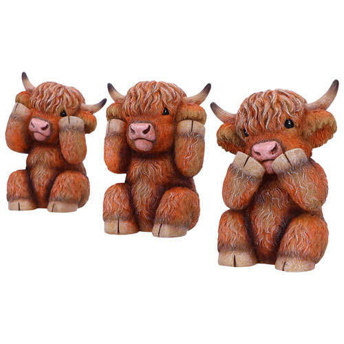 Nemesis Now Three Wise Highland Cows Figurine
