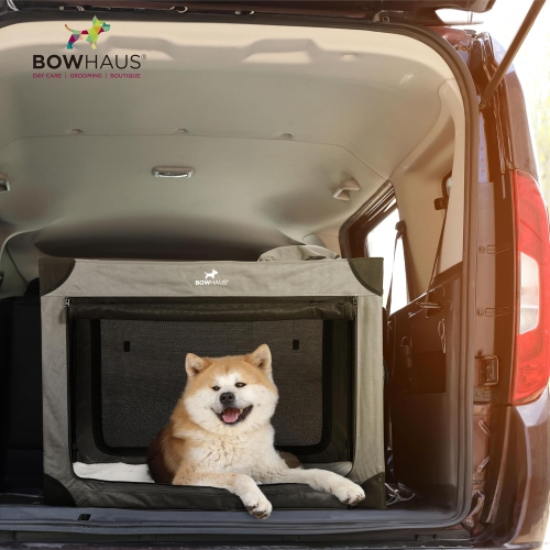Clignoble de voyage portatif pour chiens de 36&nbsp;po de BOWHAUS avec fenêtres en filet durables et 2 pochettes de rangement