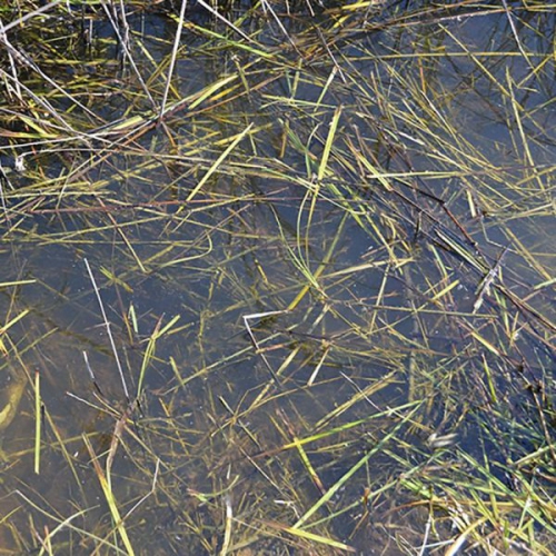 AK Interactive Still Water 250ml New