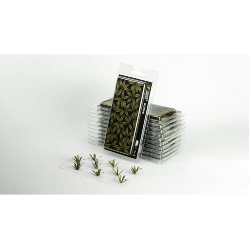 Gamers GrassLaser Plants - Agave New