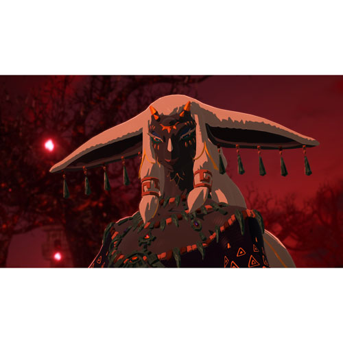 Hyrule Warriors: Age of Imprisonment